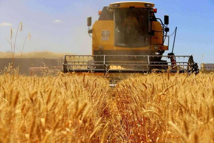 Tarımda üretici enflasyonu mayısta yüzde 50,79’a geriledi